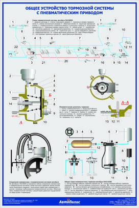 Стенд категории D,D1 "Общее устройство тормозной системы с пневматическим приводом"